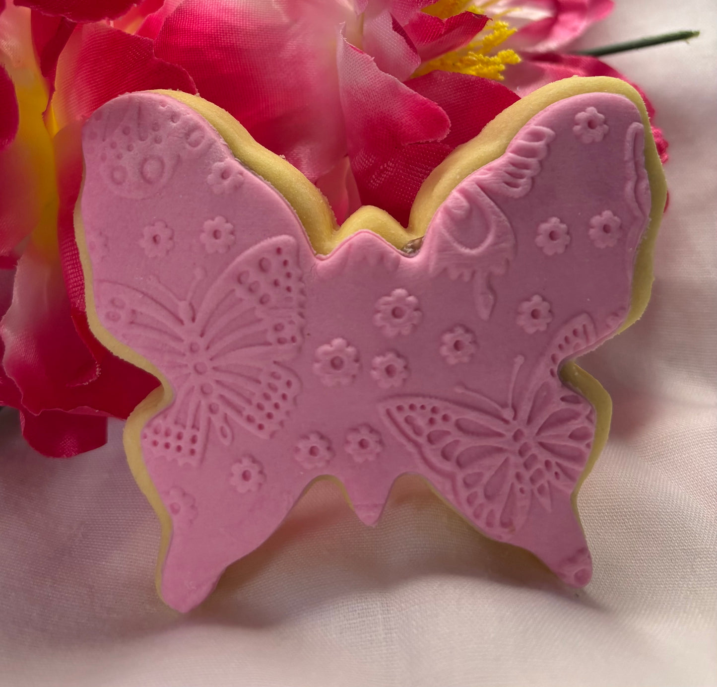 Baby pink butterfly